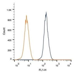 FGFR1 Antibody (M19B2) - Azide and BSA Free, Novus Biologicals 0.1 mL;